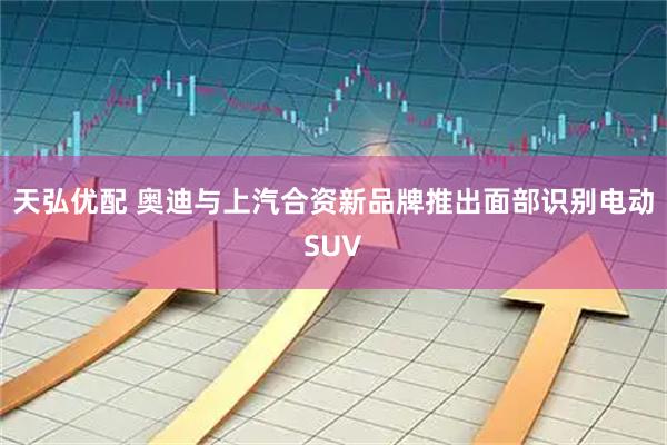 天弘优配 奥迪与上汽合资新品牌推出面部识别电动SUV