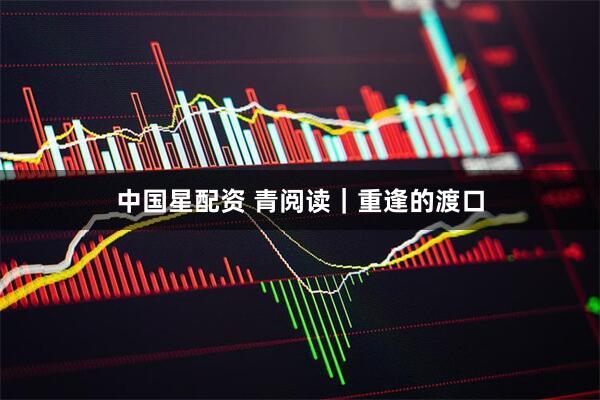 中国星配资 青阅读｜重逢的渡口
