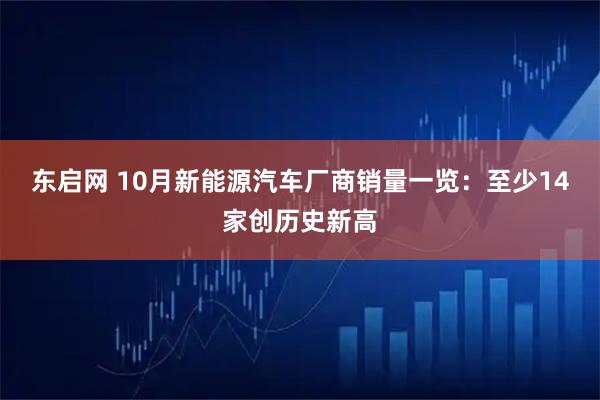 东启网 10月新能源汽车厂商销量一览：至少14家创历史新高